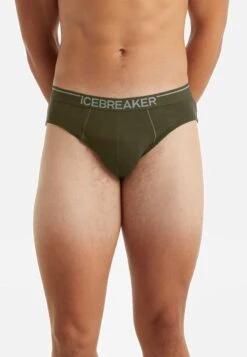 Icebreaker MERINO ANATOMICA BRIEFS - Slip - LODEN