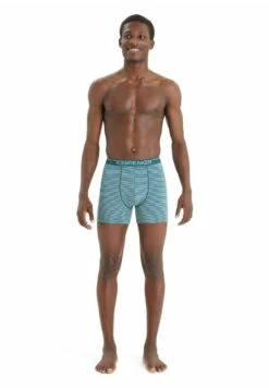 Icebreaker MERINO ANATOMICA - Panties - Grün