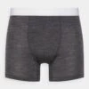 Icebreaker MERINO NATURAL ANATOMICA COOL LITE BOXERS - Panties - Monsoon Heather