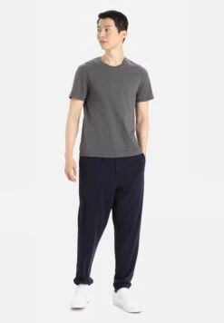 Icebreaker MERINO CENTRAL CLASSIC SS TEE - T-Shirt Basic - Monsoon