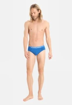 Icebreaker MERINO ANATOMICA BRIEFS - Slip - Lazurite 9 Icebreaker MERINO ANATOMICA BRIEFS - Slip - Lazurite -Deutschland Icebreaker Verkaufs-Shop 51918cc91c494500bad2b40f277fe4ec 1