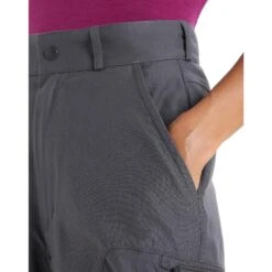 Icebreaker WOMEN HIKE PANTS Damen - Trekkinghose -Deutschland Icebreaker Verkaufs-Shop 5638008787 e women hike pants icebreaker 24