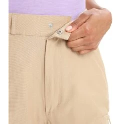 Icebreaker WOMEN HIKE PANTS Damen - Trekkinghose -Deutschland Icebreaker Verkaufs-Shop 5638008793 p women hike pants icebreaker 24