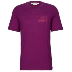 Icebreaker MEN TECH LITE II SS TEE MOUNTAIN SUNSET Herren - Funktionsshirt
