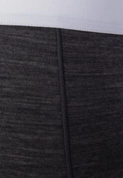 Icebreaker MERINO NATURAL ANATOMICA COOL LITE BOXERS - Panties - Monsoon Heather -Deutschland Icebreaker Verkaufs-Shop 81747dc254e743d1a84a05b2c6615827