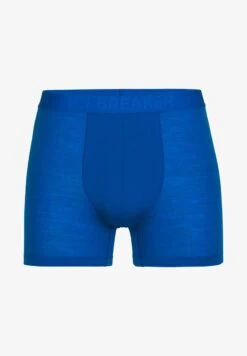 Icebreaker MERINO ANATOMICA COOL LITE - Panties - Vibrant Earth -Deutschland Icebreaker Verkaufs-Shop 81e533e7c347430f9eb1cd3996fc496b