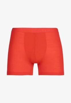 Icebreaker MERINO ANATOMICA COOL LITE - Panties - Vibrant Earth -Deutschland Icebreaker Verkaufs-Shop 96f412281fed4dd5a0004f79d8431293