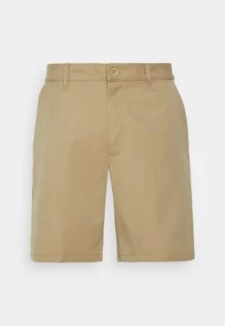 Icebreaker MERINO BERLIN SHORTS - Kurze Sporthose - Beige -Deutschland Icebreaker Verkaufs-Shop 97d9f98a3a584de1a4bd451fd8016f24