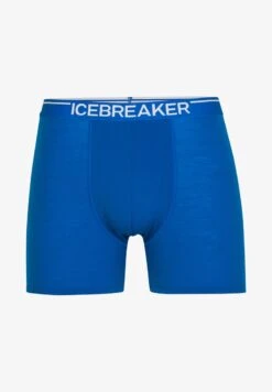 Icebreaker MERINO ANATOMICA - Panties - Lazurite