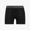 Icebreaker MERINO ANATOMICA BOXERS WFLY - Panties - Black