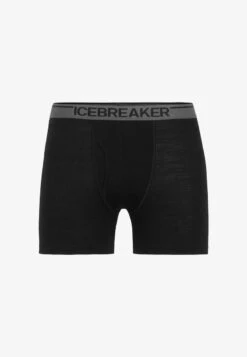 Icebreaker MERINO ANATOMICA BOXERS WFLY - Panties - Black
