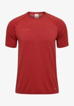 Icebreaker GEODETIC - T-Shirt Print - Summer Vibrant Earth Aop -Deutschland Icebreaker Verkaufs-Shop c6a0caf37b704c0f85aceb2d8df9f3b6