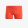 Icebreaker MERINO ANATOMICA COOL LITE - Panties - Vibrant Earth