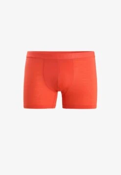 Icebreaker MERINO ANATOMICA COOL LITE - Panties - Lazurite -Deutschland Icebreaker Verkaufs-Shop c7fbd663e05246dfa87ad0b7b6f0b52f 2