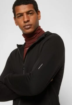 Icebreaker MERINO QUANTUM III LS - Sweatjacke - Black -Deutschland Icebreaker Verkaufs-Shop e178b0b584fe48798d0ca0b2d263a271