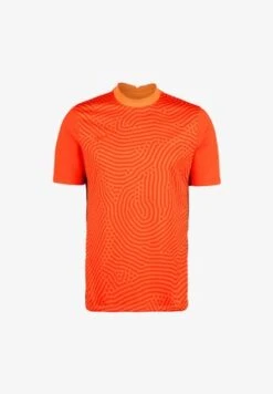 Icebreaker GEODETIC - T-Shirt Print - Summer Vibrant Earth Aop -Deutschland Icebreaker Verkaufs-Shop e1f3353ac01b496baf7c6563e46a6708