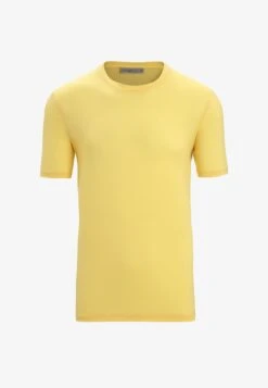 Icebreaker 100% MERINO TECH LITE II SS - T-Shirt Basic - Summer
