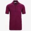 Icebreaker 100% MERINO TECH LITE II SS - Poloshirt - Go Berry