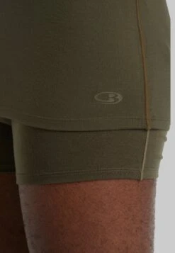 Icebreaker MERINO ANATOMICA SS CREWE - Unterhemd/-shirt - Loden -Deutschland Icebreaker Verkaufs-Shop ef29cd7abd604596b990d9f5adf2ec7f