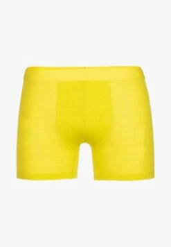 Icebreaker MERINO ANATOMICA COOL LITE - Panties - Lazurite -Deutschland Icebreaker Verkaufs-Shop f4dbecd9b2304ea1bec583d9d1851196 1