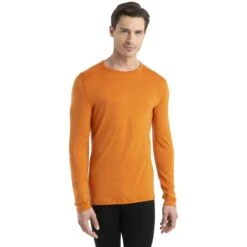 Deutschland Icebreaker Verkaufs-Shop 9 Icebreaker 260 Tech Crewe Langarmshirt Herren - Earth