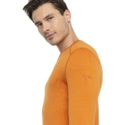 Icebreaker 260 Tech Crewe Langarmshirt Herren - Earth -Deutschland Icebreaker Verkaufs-Shop icebreaker mens 260 tech crewe long sleeve shirt earth model 4 1499501