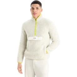 Icebreaker RealFleece™ High Pile Half Zip Fleecepullover Herren - Ecru Hthr/Shine