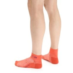 Icebreaker Run+ Ultralight Mini Socken Herren - Vibrant Earth/Go Berry 6 Icebreaker Run+ Ultralight Mini Socken Herren - Vibrant Earth/Go Berry -Deutschland Icebreaker Verkaufs-Shop icebreaker mens run plus ultralight mini socks vibrant earth go berry 3 1381823