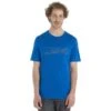 Icebreaker Tech Lite II Ski Stripes T-Shirt Herren - Lazurite