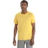 Icebreaker Tech Lite II T-Shirt Herren - Summer