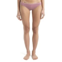 Icebreaker Siren Bikini Slip Damen - Crystal -Deutschland Icebreaker Verkaufs-Shop icebreaker womens siren bikini crystal model 1 1498897